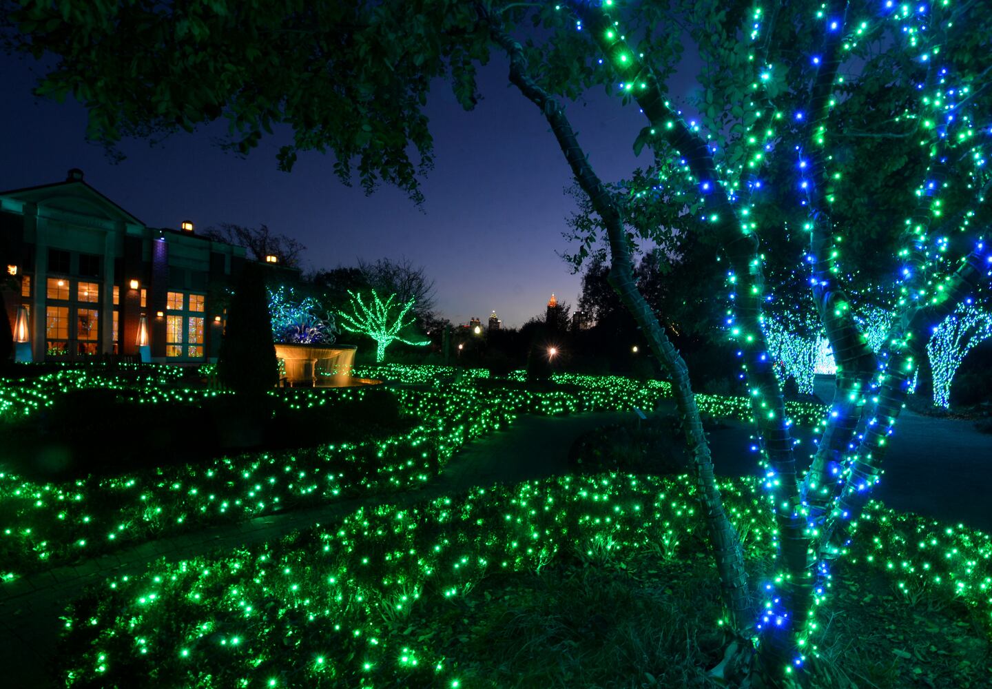 Garden Lights