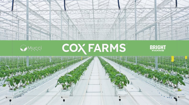 Cox Enterprises announced Tuesday, March 26, 2024, that it has launched Cox Farms, a new venture that combines indoor agriculture businesses Cox has invested in over the past several years and will serve as a platform for future investment in the sector.