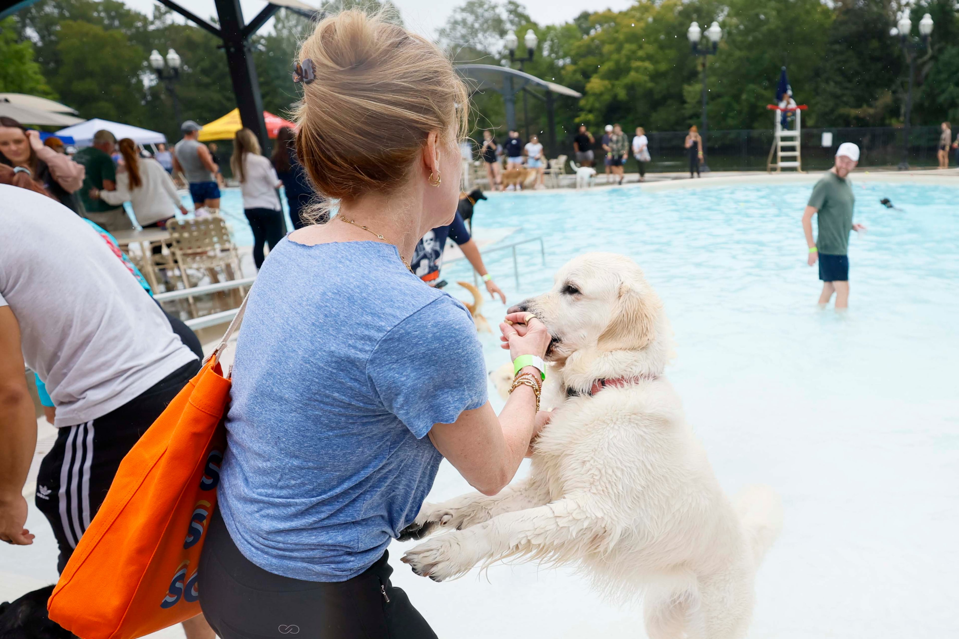 Lisa Field plays with Skye (9) during the XV annual Splish Splash Doggie Bash at Piedmont Park on Sunday, October 5, 2025. The proceeds support funding for Piedmont Park Dog Parks.
(Miguel Martinez/ AJC)