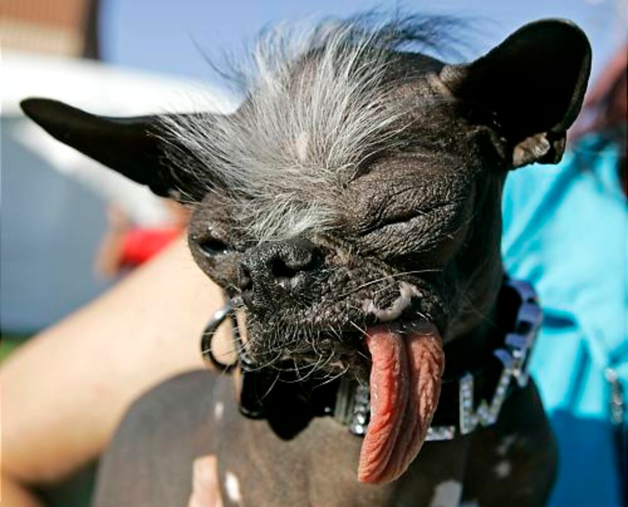 Cute or just plain ugly?