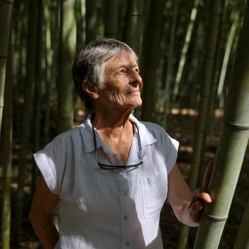 Daphne Lewis poses at her bamboo farm in Hawkinsville on Sept. 16, 2026. Bamboo, she says, is "a total ecological miracle." (Arvin Temkar/AJC)