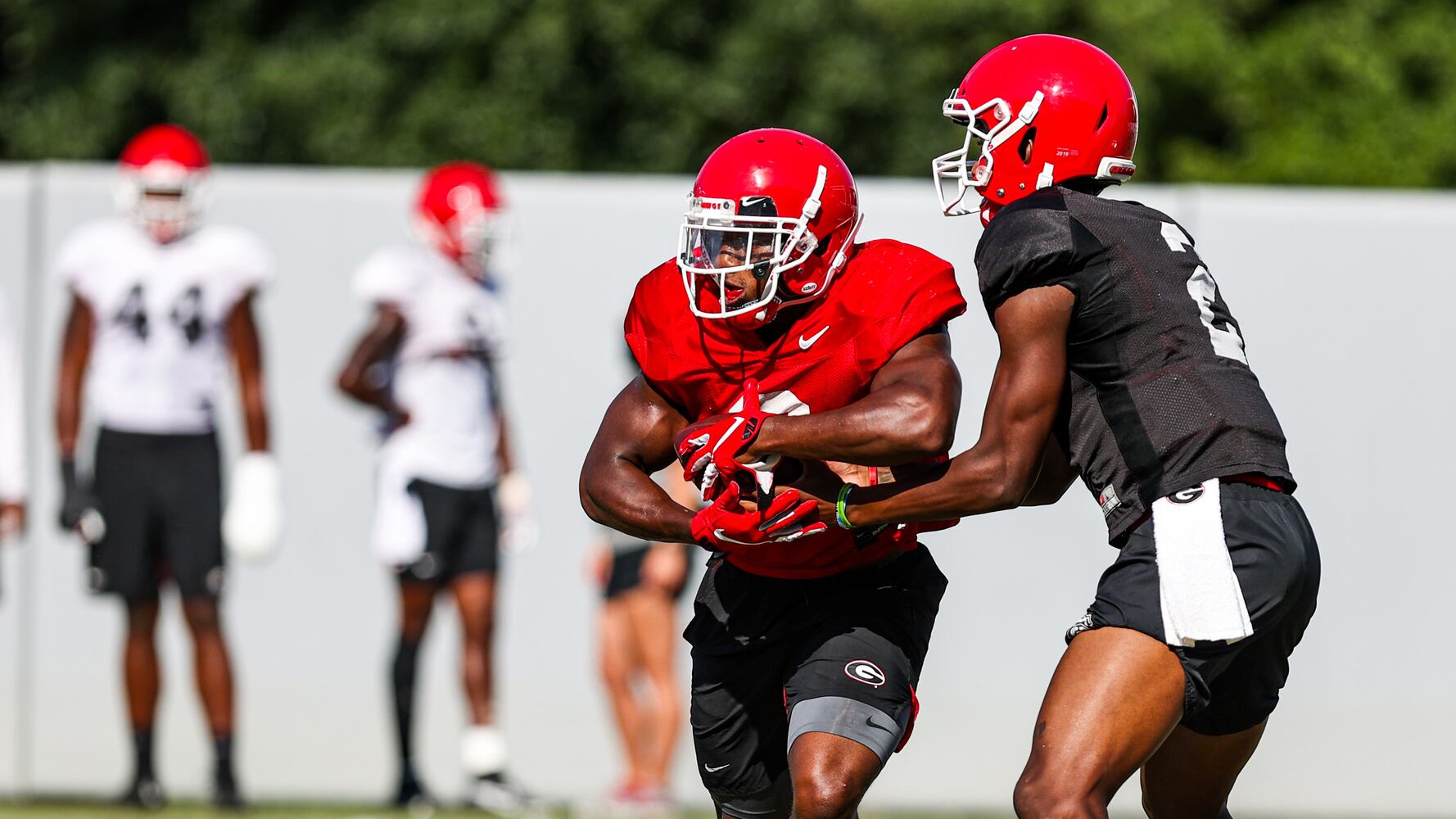 Georgia Bulldogs
