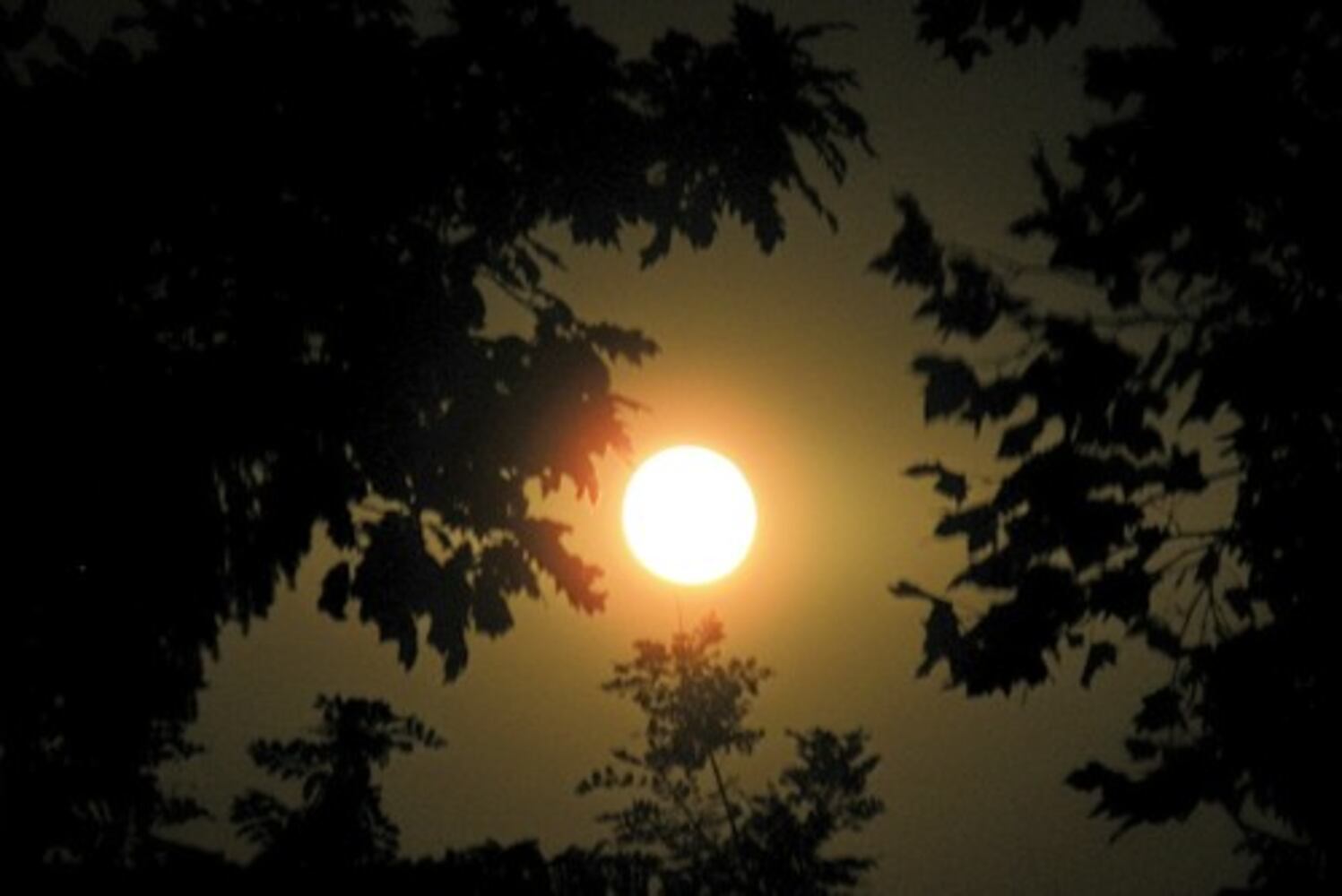 Reader weather photos: Gallery 22