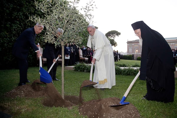 FILE - Pope Francis plants an olive tree with Israel's President Shimon Peres, left, Palestinian President Mahmoud Abbas, second from left, and Ecumenical Patriarch Bartholomew I, right, in a sign of peace during an evening of peace prayers in the Vatican gardens, Sunday, June 8, 2014. (AP Photo/Max Rossi, Pool, File)