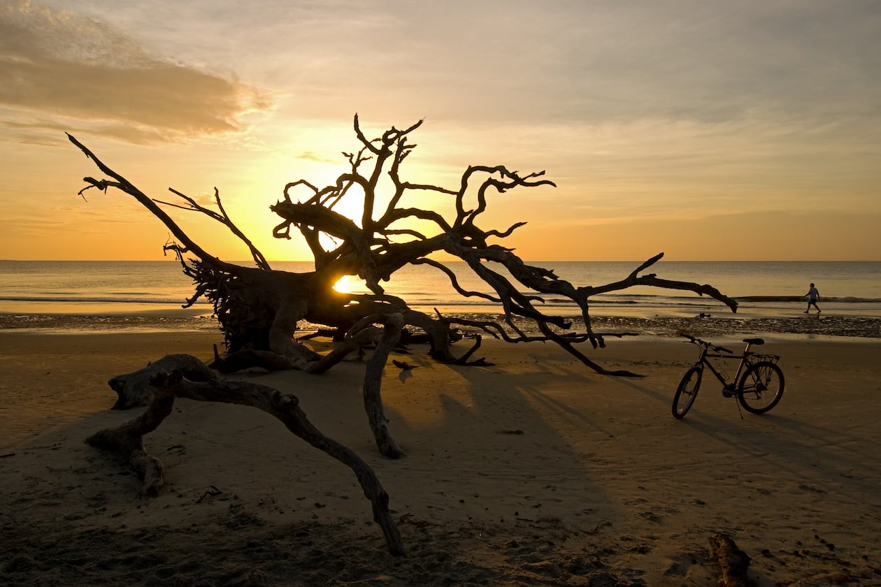 Driftwood Beach on Jekyll Island, part of Georgia's Golden Isles and a top place to marvel at our state's natural beauty. (Courtesy of Golden Isles CVB)