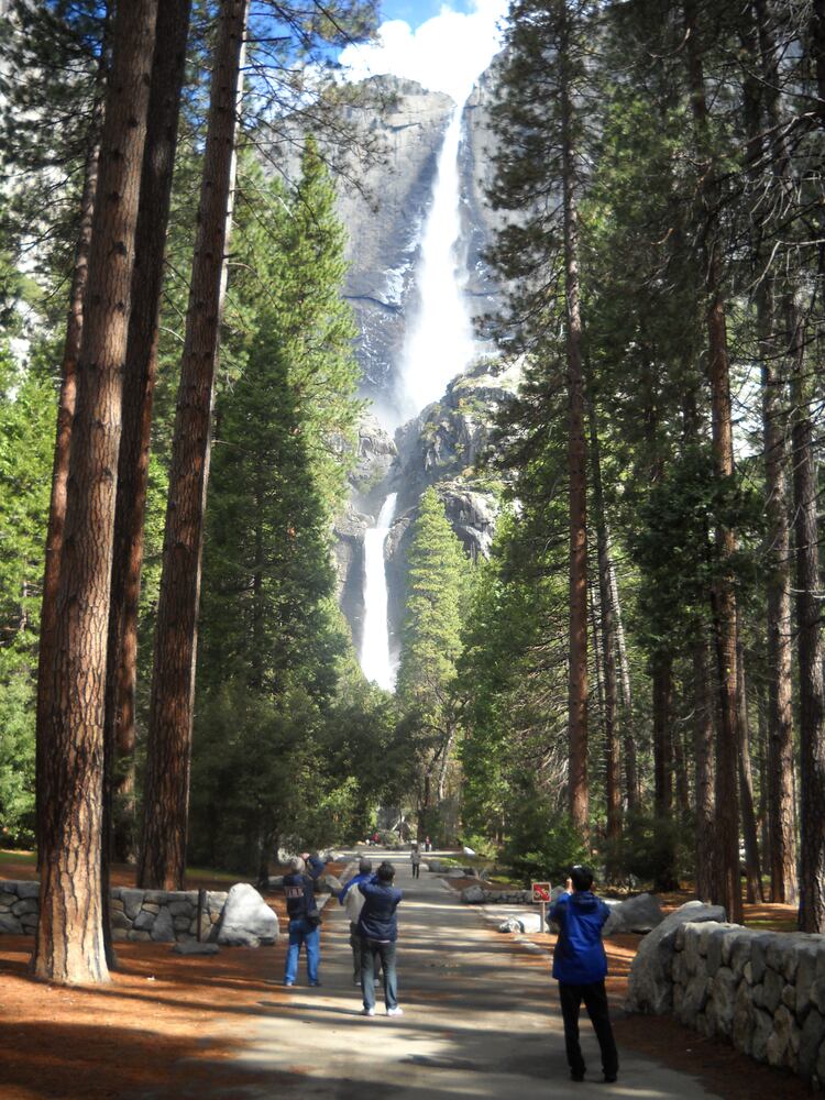 Yosemite National Park