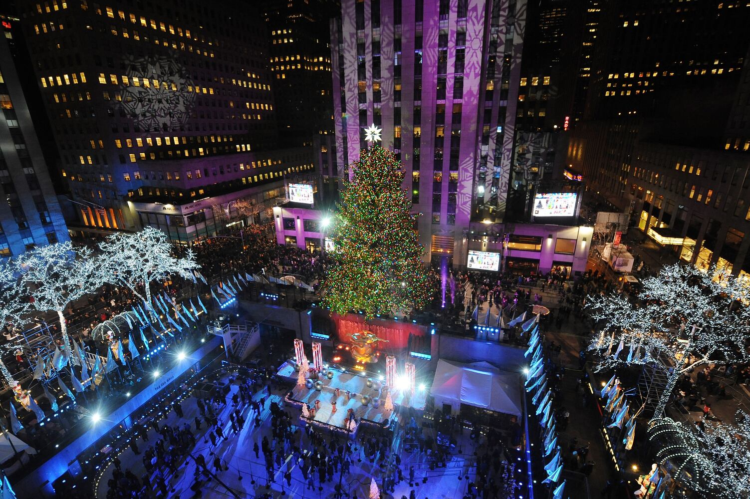 Dec. 3, 2014