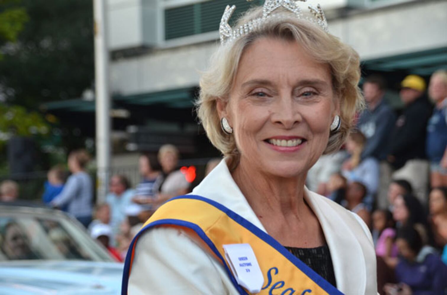 Torchlight Parade 2014