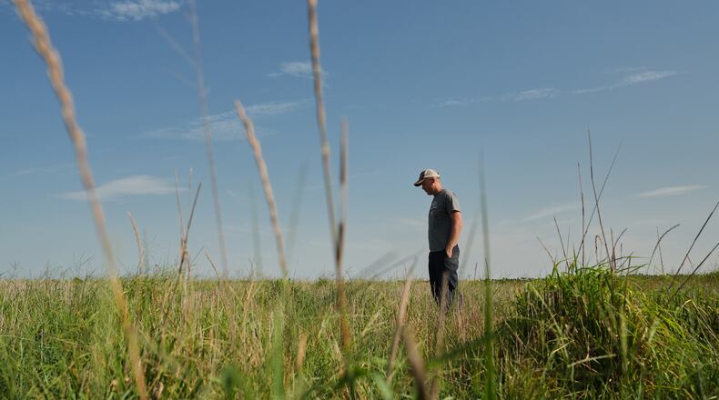 David Mueller stands in his Kernza field Tuesday, July 28, 2026, at his farm in Halstead, Kan. (AP Photo/Joshua A. Bickel)