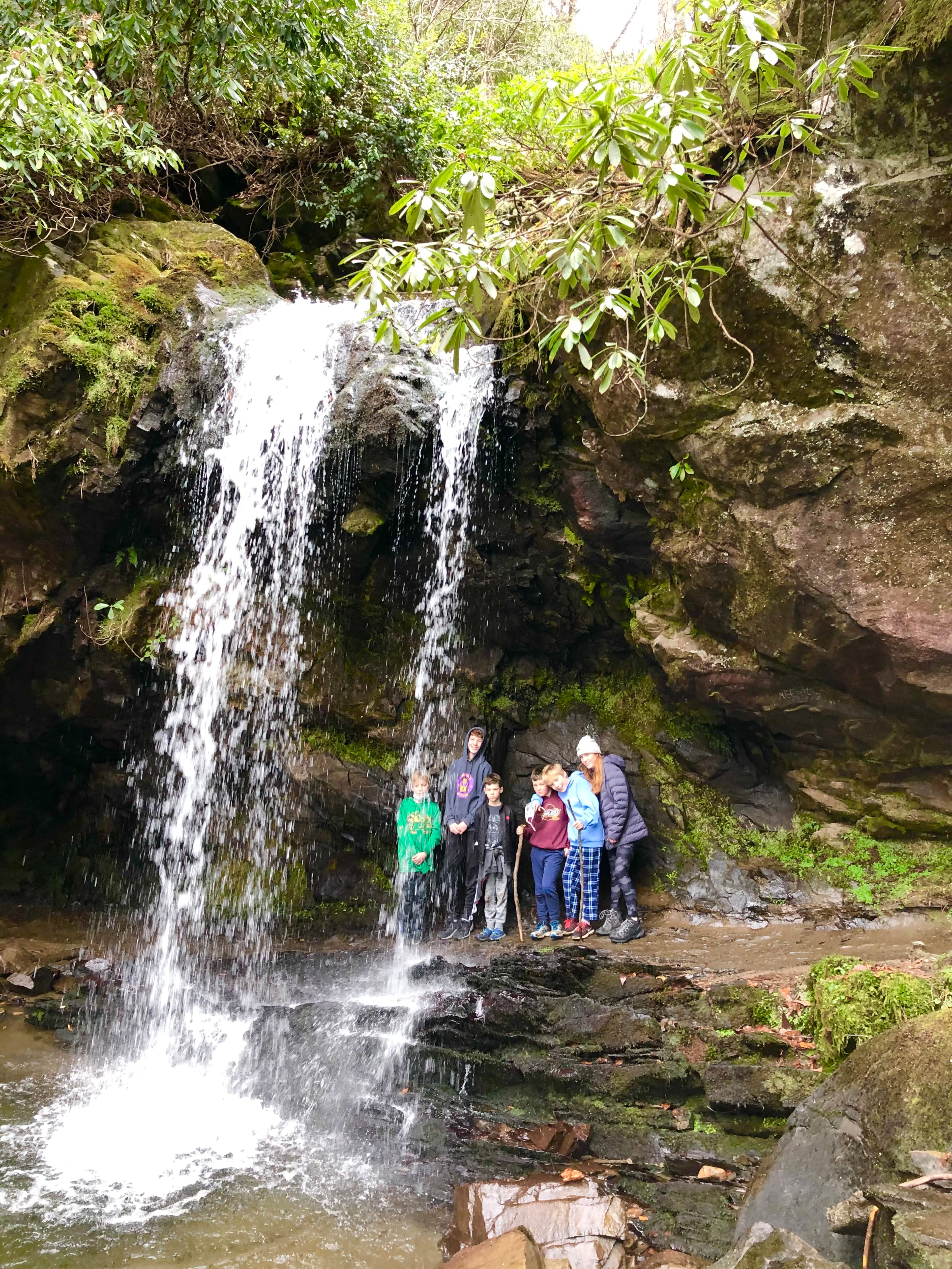 Grotto Falls is a 2.5-mile round-trip hike on the Trillium Gap Trail that meanders across streams and through an old-growth forest. (Courtesy of Patricia Neligan)