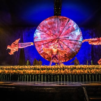 Acrobats dressed as hummingbirds propel their bodies through small hoops during Cirque du Soleil's touring production of “Luzia.” The show will run through Jan. 25 at Atlantic Station. (Courtesy of Matt Beard and Anne Colliard)