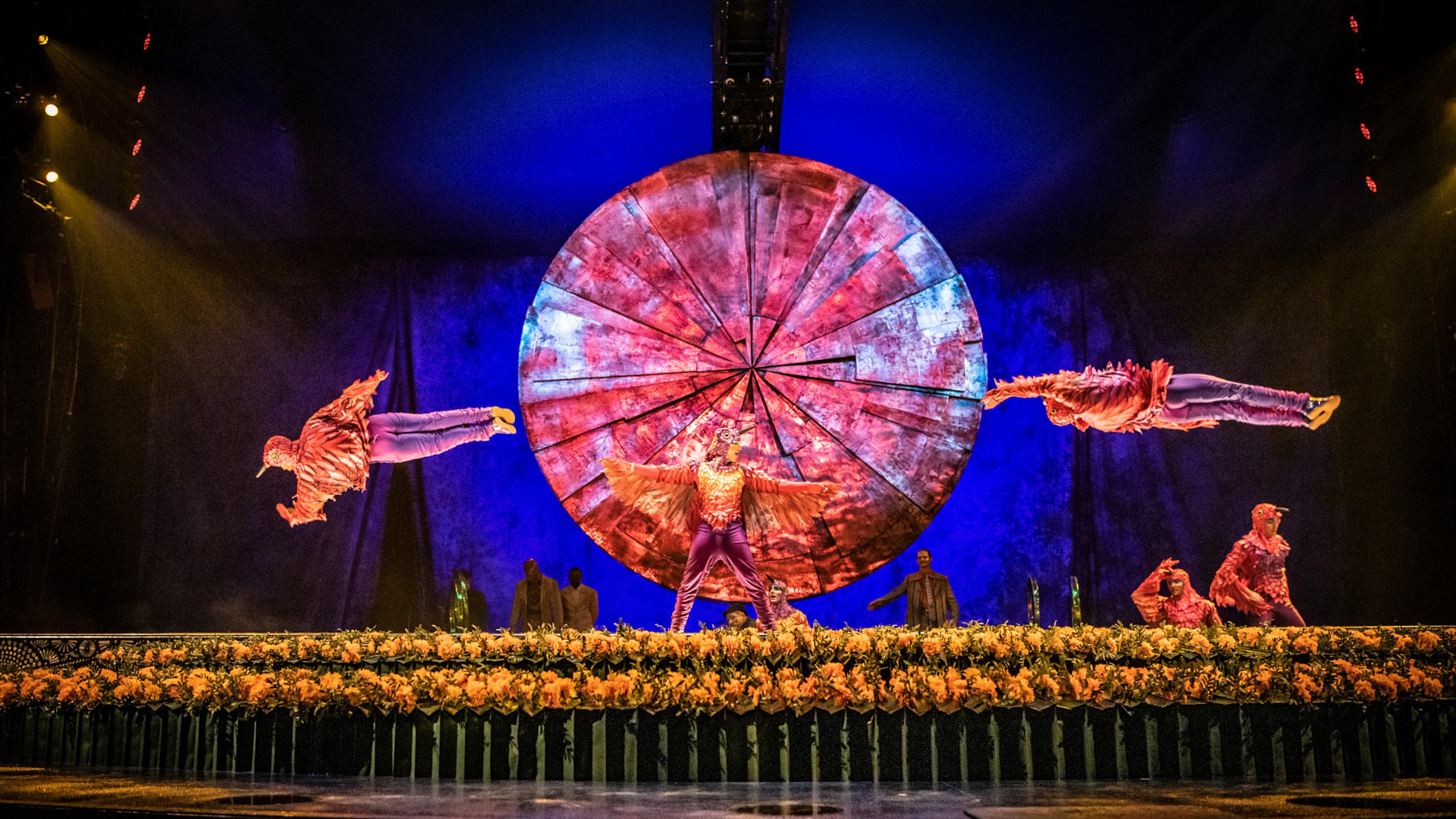 Acrobats dressed as hummingbirds propel their bodies through small hoops during Cirque du Soleil's touring production of “Luzia.” The show will run through Jan. 25 at Atlantic Station. (Courtesy of Matt Beard and Anne Colliard)