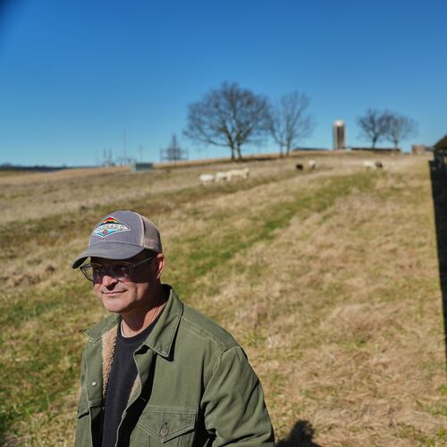 Daniel Bell watches his sheep graze Friday, Feb. 20, 2026, at a farm in Lancaster, Ky. (AP Photo/Joshua A. Bickel)