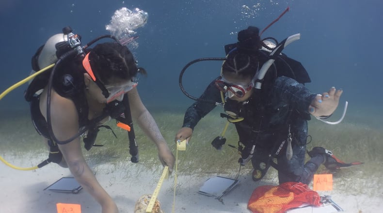 Jasmine Mariaca and Skye Garrette measure an artifact from the remains of an 18th-century wreck located inside Biscayne National Park. Divers use tape measures, folding ruler, pencils, and mylar paper to take and record accurate measurements. The collected data is later recorded onto a "site map" which will be stored for history. (Chris G Searles / Used with permission)
