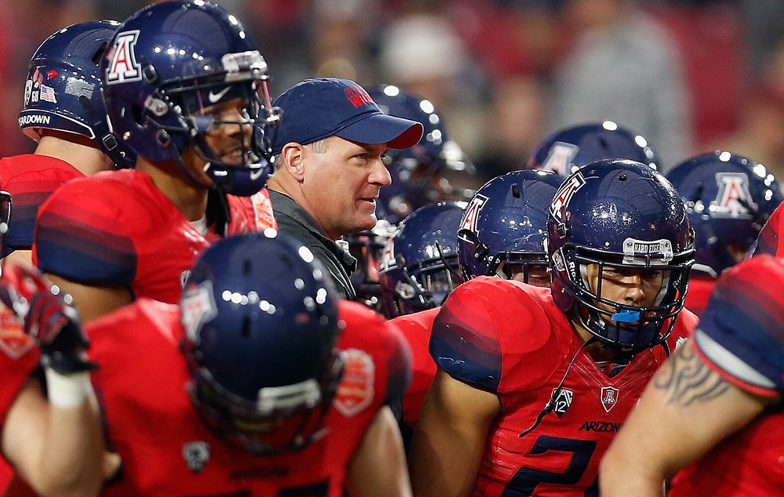Arizona Wildcats