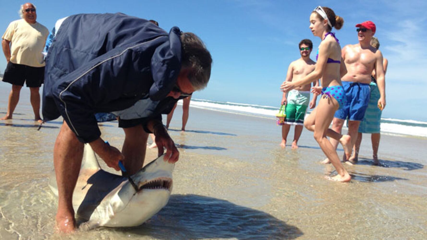 Fisherman catches shark off New Smyrna Beach