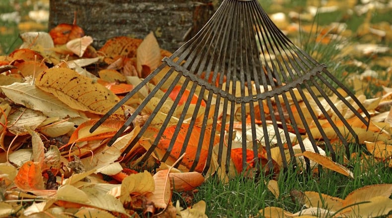 Citizens in FInland are having a field day with President Donald Trump's comments about raking leaves.