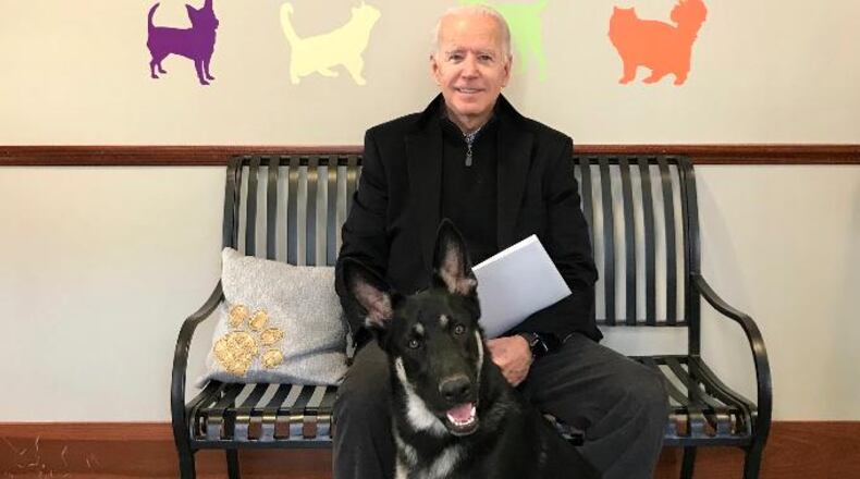 This photo provided by the Delaware Humane Association shows former Vice President Joe Biden, now president-elect, with his rescue dog Major.