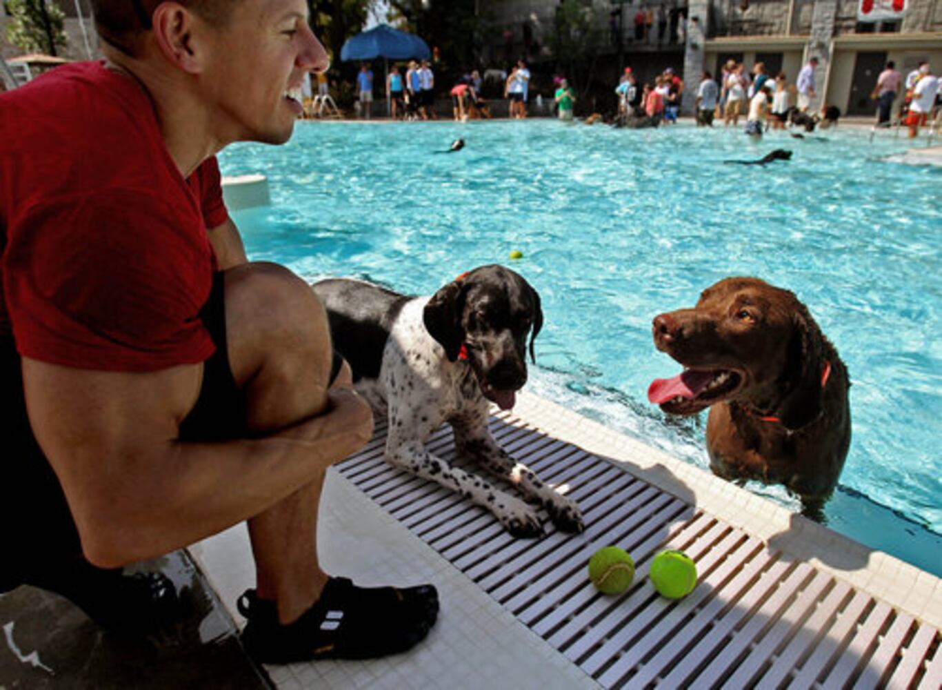 Atlanta's Splish Splash Doggie Bash