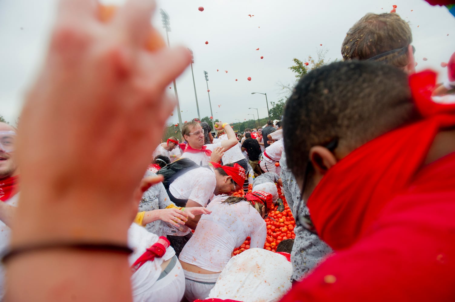 The Great Bull Run