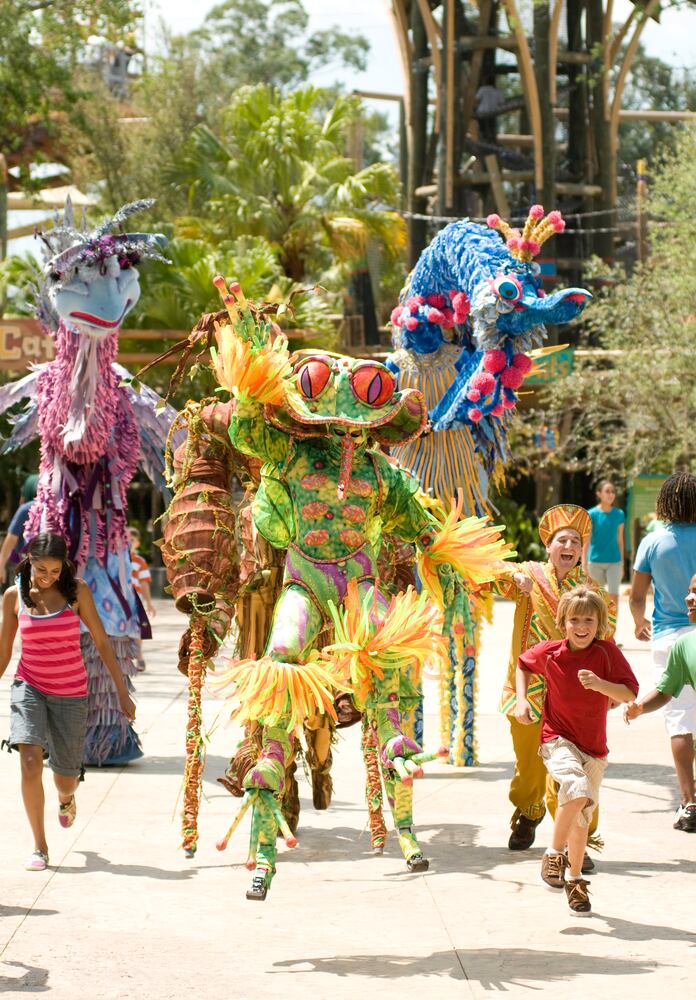 Busch Gardens in Tampa