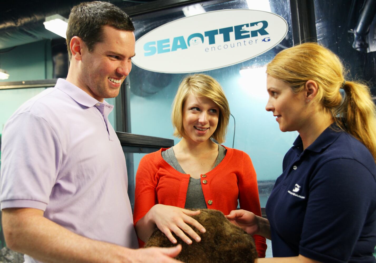 Sea Otter Encounter at Georgia Aquarium