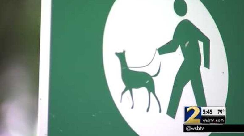 Channel 2 Action News Photo