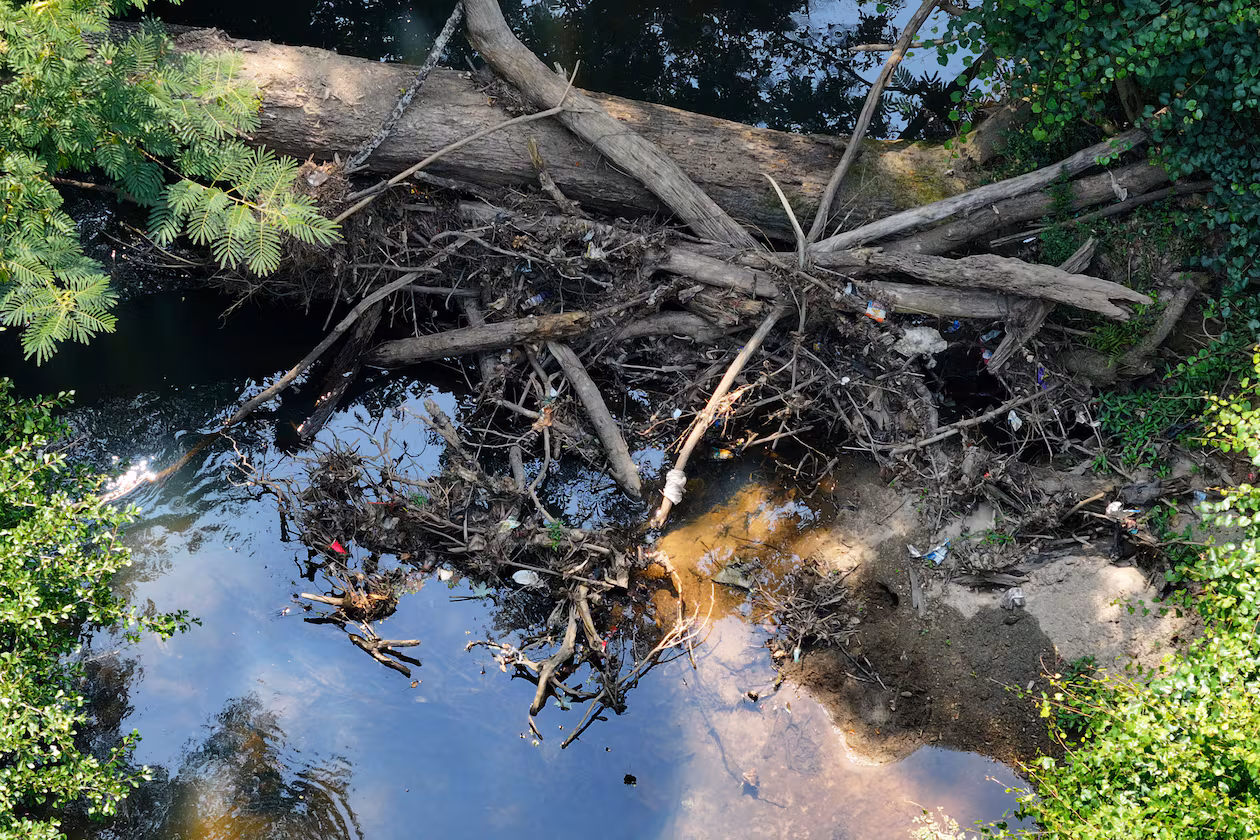 In the state’s report, the Wildlife Resources Division says water quality patterns, a documented chemical spill and the stormwater pathway between the city’s facility and the South River point to watershed management being at fault. (Hyosub Shin/AJC)