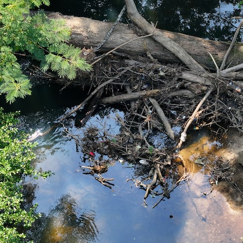 In the state’s report, the Wildlife Resources Division says water quality patterns, a documented chemical spill and the stormwater pathway between the city’s facility and the South River point to watershed management being at fault. (Hyosub Shin/AJC)