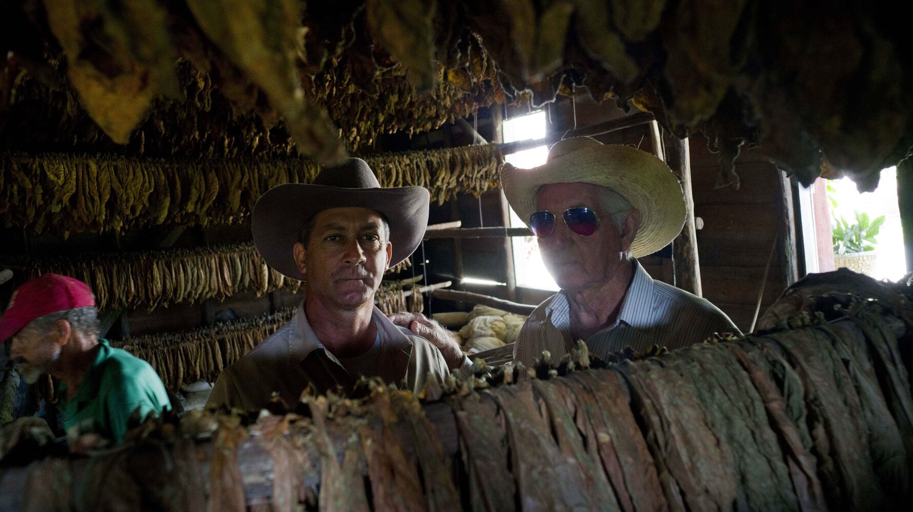 Cuba tobacco country becomes tourist attraction
