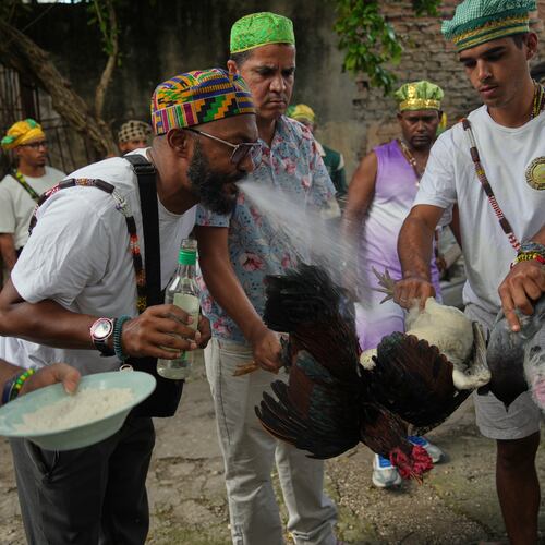 Santeria priests, also known as Babalawos, perform a cleansing ritual with roosters during a ceremony calling for peace and health in Havana, Sunday, Jan. 25, 2026. (AP Photo/Ramon Espinosa)