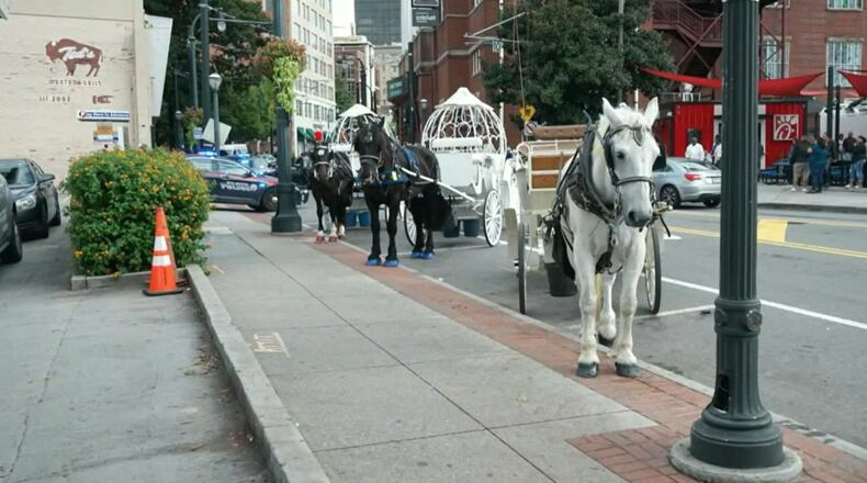 Local animal rights group that would like to see horse drawn carriages in Atlanta banned