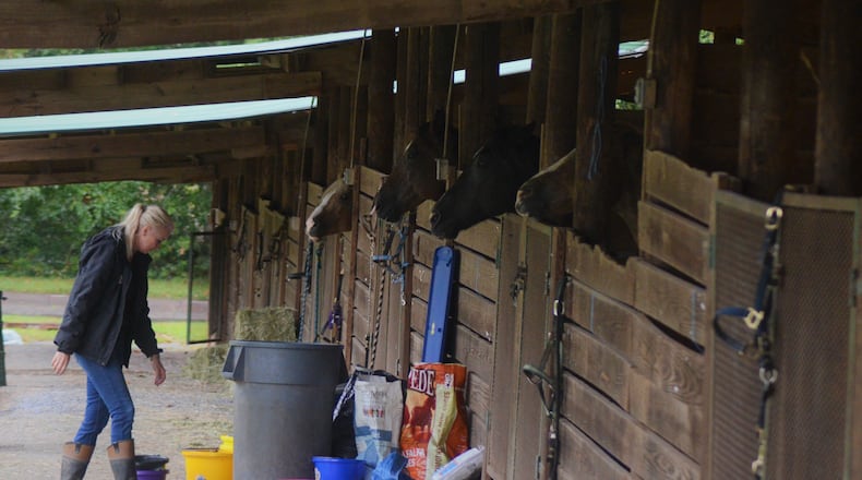 Krissy Wilson, of Marietta, tends to horses at the Alpharetta Equestrian Center on Sept. 11, 2017. The center is sheltering more than 90 horses displaced by Hurricane Irma.