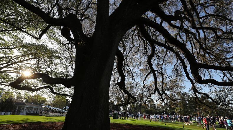Patrons pass by the 150-year-old oak that sits in front of the Augusta National clubhouse as the course opens after sunrise Monday for practice rounds for the Masters. (Curtis Compton / Curtis.Compton@ajc.com)