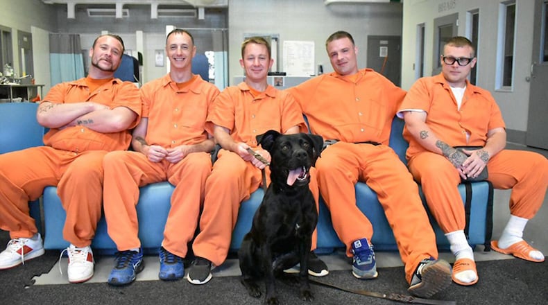 “Roxy” is one of five canines in the inaugural class of “Pups With a Purpose” at the Forsyth County Jail. Inmates learn to train dogs, working with canines from the Forsyth County Animal Shelter. FORSYTH COUNTY SHERIFF’S OFFICE via Facebook