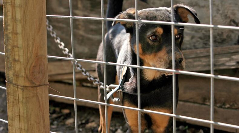 Cobb County residents can not tether their animals after a recent vote.