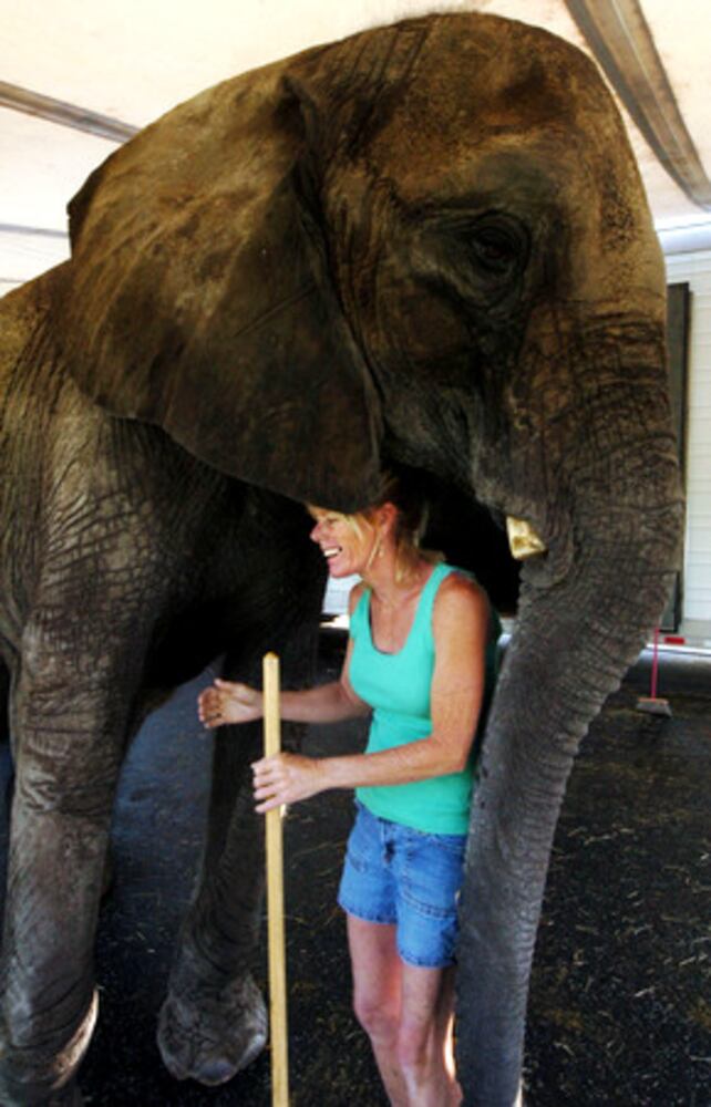 Yaarab Shrine Circus comes to town