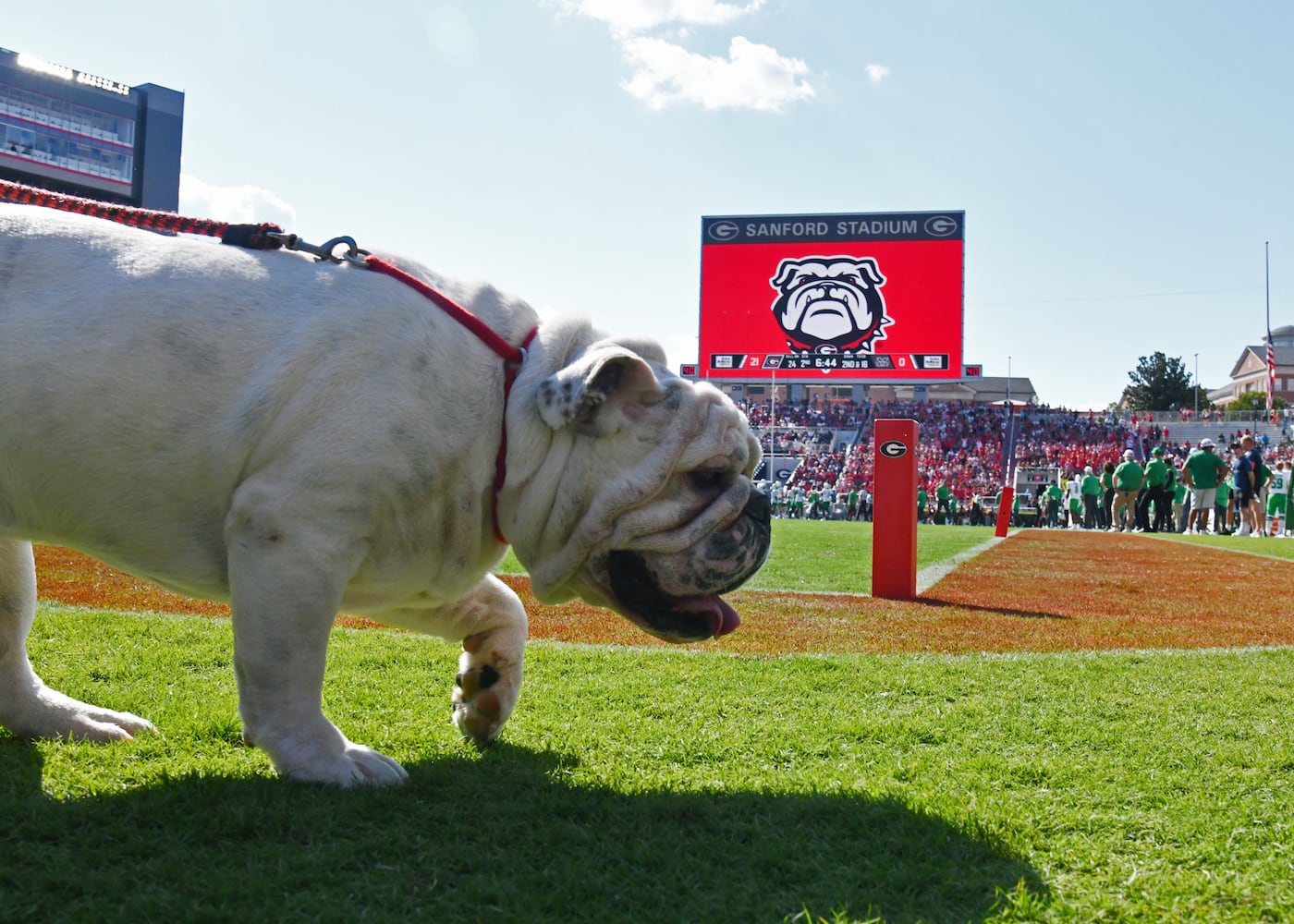 Georgia football season opener against Marshall