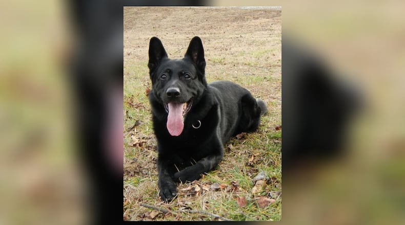 Nico, a retired Johns Creek Police Department K-9 dog, has died. He was 12 years old. "Nico’s health began to deteriorate in retirement, some of which was attributed to the physical toll his working years had on his body," the department said.
