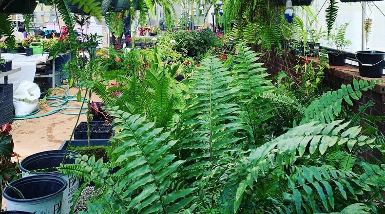 North Fulton Master Gardeners in collaboration with the UGA Extension in Fulton County
have announced the Spring 2023 Gardening Lecture Series. COURTESY NORTH FULTON MASTER GARDENERS