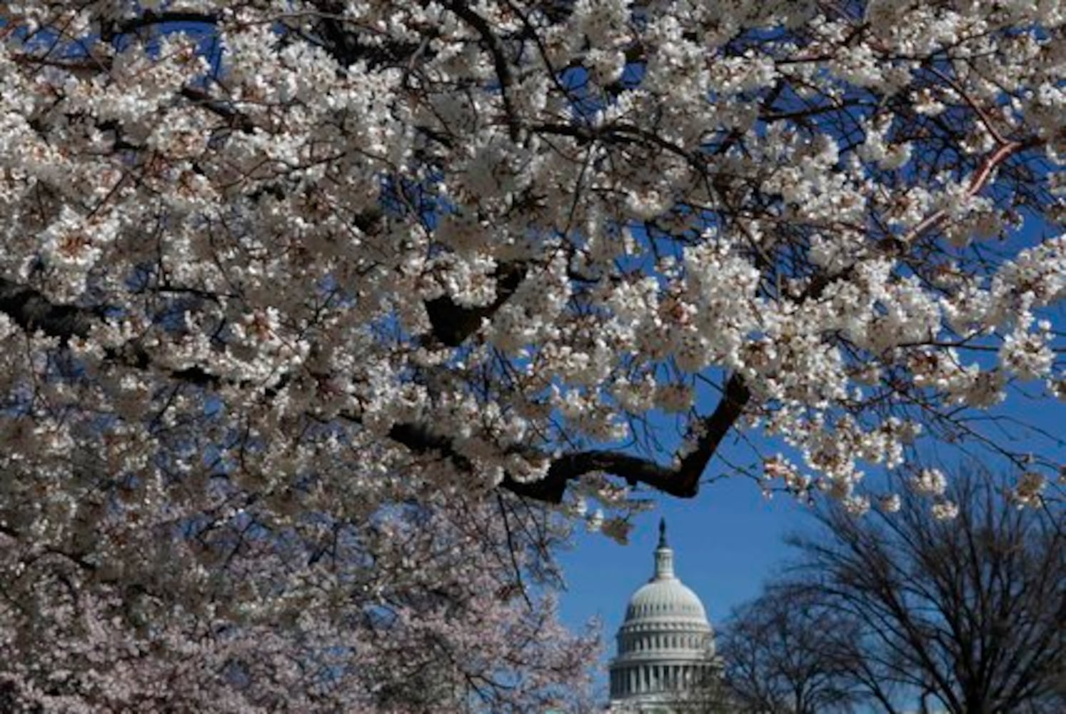 Washington, D.C., sites wow first-timers and travel vets