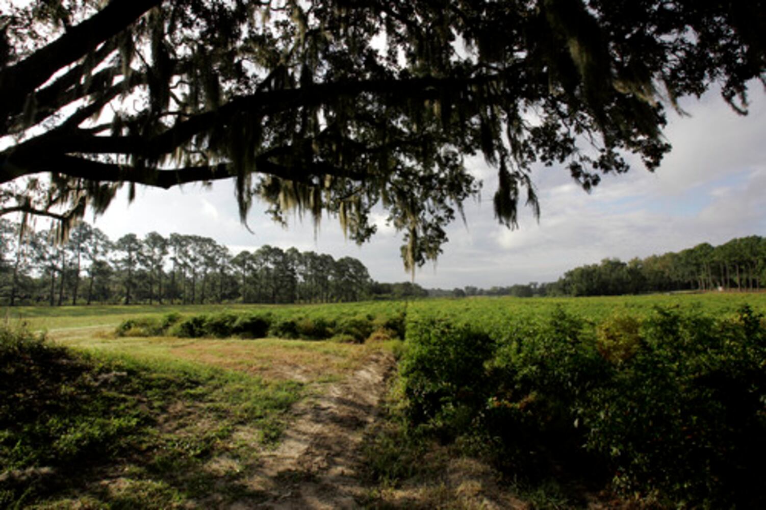 Avery Island, La.: Where Tabasco is the hot commodity