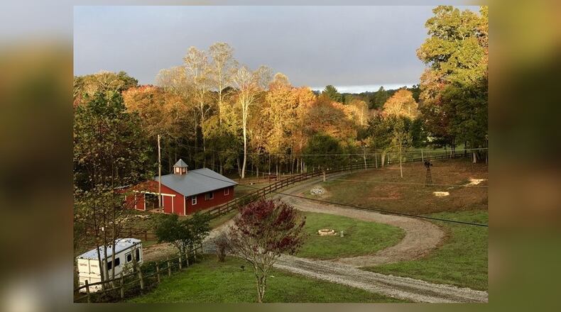 Horse Creek Stable in North Georgia provides care for special needs animals.
