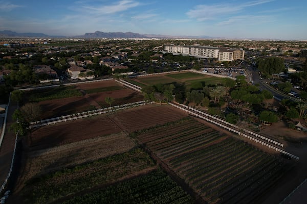 Farmland sits amid Agritopia, a community nestled around a plot of agricultural land, on Monday, April 21, 2025, in Gilbert, Ariz. (AP Photo/Joshua A. Bickel)