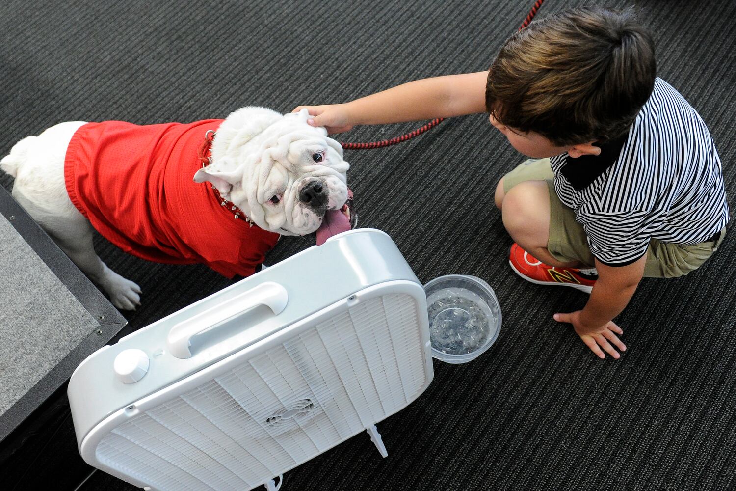 UGA Fan Day