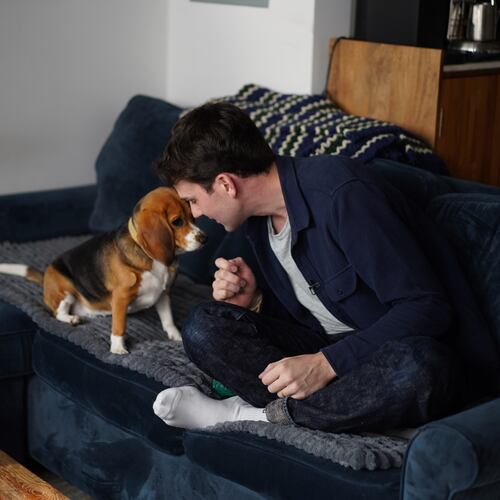 Matt Walker sits at home with Bailey, his gene-edited hypoallergenic beagle, in New York on Aug. 4, 2026. (AP Photo/Mary Conlon)