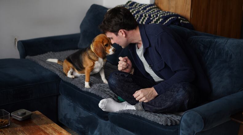 Matt Walker sits at home with Bailey, his gene-edited hypoallergenic beagle, in New York on Aug. 4, 2026. (AP Photo/Mary Conlon)