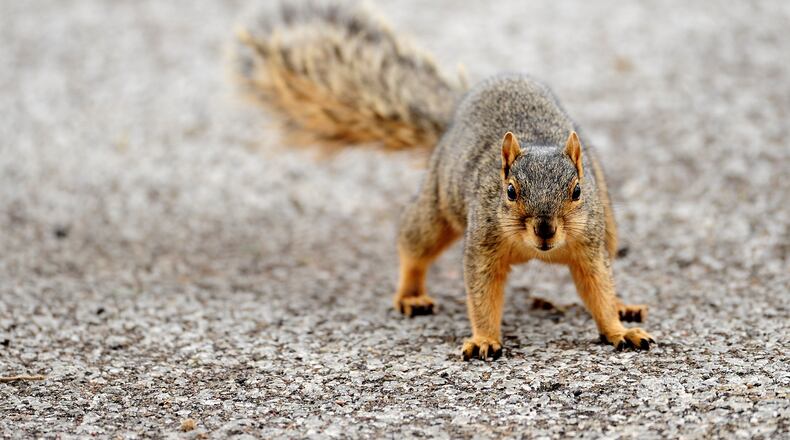 Photo by Stuart Franklin/Getty Images