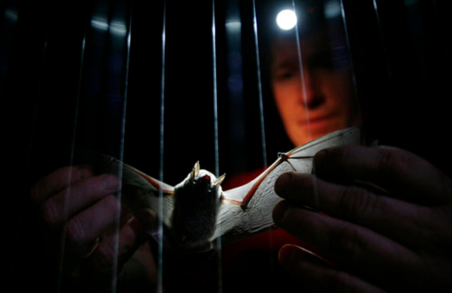July 31, 2008: Today in Pictures