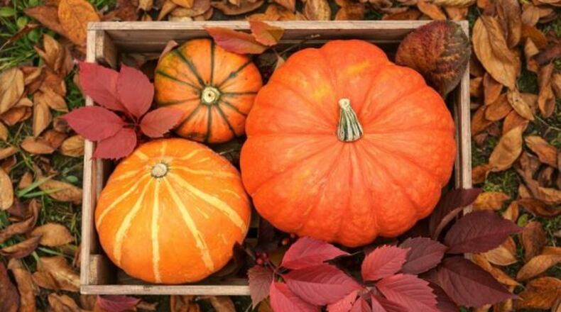 For free, a Fall Family Fun Day will take place from 1-4 p.m. Oct. 23 at Fair Oaks at the Marietta Educational Garden Center. (Courtesy of Marietta)